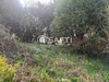 Ma-Cabane - Vente Terrain Neuilly-la-Foret, 400 m²