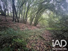 Ma-Cabane - Vente Terrain Neuvic-Entier, 4275 m²