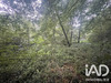 Ma-Cabane - Vente Terrain Neuvic-Entier, 4275 m²