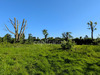 Ma-Cabane - Vente Terrain NEUVILLE EN FERRAIN, 925 m²