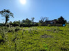 Ma-Cabane - Vente Terrain NEUVILLE EN FERRAIN, 925 m²