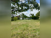 Ma-Cabane - Vente Terrain Neuvy-en-Dunois, 872 m²