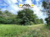 Ma-Cabane - Vente Terrain NEUVY-EN-SULLIAS, 13100 m²