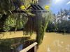 Ma-Cabane - Vente Terrain NEUVY-EN-SULLIAS, 5420 m²