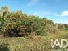 Ma-Cabane - Vente Terrain Nézignan-l'Évêque, 6440 m²
