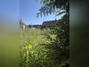 Ma-Cabane - Vente Terrain Niederschaeffolsheim, 822 m²