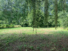 Ma-Cabane - Vente Terrain Noizay, 1431 m²