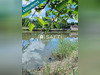 Ma-Cabane - Vente Terrain Noyen-sur-Sarthe, 9262 m²