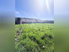 Ma-Cabane - Vente Terrain NOZAY, 853 m²