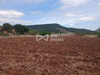 Ma-Cabane - Vente Terrain Octon, 3128 m²