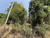 Ma-Cabane - Vente Terrain Olmiccia, 3095 m²