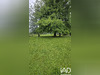 Ma-Cabane - Vente Terrain Oloron-Sainte-Marie, 875 m²