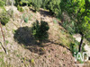 Ma-Cabane - Vente Terrain Oms, 2703 m²