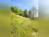 Ma-Cabane - Vente Terrain Onet-le-Château, 698 m²