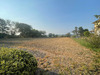 Ma-Cabane - Vente Terrain ORTHEVIELLE, 3000 m²
