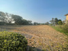 Ma-Cabane - Vente Terrain ORTHEVIELLE, 3000 m²