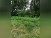 Ma-Cabane - Vente Terrain ORTHEZ, 15070 m²