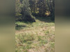 Ma-Cabane - Vente Terrain ORTHEZ, 15070 m²