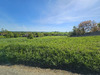 Ma-Cabane - Vente Terrain Oueilloux, 1466 m²