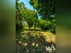 Ma-Cabane - Vente Terrain Paimpol, 830 m²