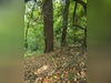 Ma-Cabane - Vente Terrain PALAISEAU, 1285 m²