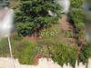 Ma-Cabane - Vente Terrain Palaiseau, 557 m²