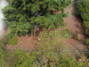 Ma-Cabane - Vente Terrain Palaiseau, 557 m²