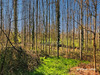 Ma-Cabane - Vente Terrain PANCE, 18756 m²