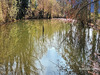 Ma-Cabane - Vente Terrain PANCE, 18756 m²