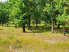 Ma-Cabane - Vente Terrain PARENTIS-EN-BORN, 725 m²