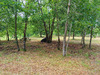 Ma-Cabane - Vente Terrain PARENTIS-EN-BORN, 725 m²