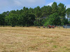 Ma-Cabane - Vente Terrain PARENTIS-EN-BORN, 725 m²