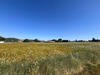 Ma-Cabane - Vente Terrain PAULIGNE, 13960 m²