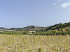 Ma-Cabane - Vente Terrain PAULIGNE, 10175 m²
