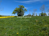 Ma-Cabane - Vente Terrain PAULINET, 1134 m²