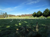 Ma-Cabane - Vente Terrain Payzac, 6755 m²
