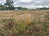 Ma-Cabane - Vente Terrain PEILLAC, 1642 m²
