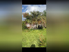Ma-Cabane - Vente Terrain Penmarch, 1747 m²