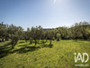 Ma-Cabane - Vente Terrain Péret, 2600 m²