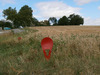 Ma-Cabane - Vente Terrain Pergain-Taillac, 3765 m²