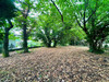 Ma-Cabane - Vente Terrain PESSAC, 2000 m²