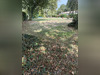 Ma-Cabane - Vente Terrain Pessac, 1908 m²