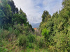 Ma-Cabane - Vente Terrain PETRETO BICCHISANO, 1000 m²
