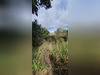 Ma-Cabane - Vente Terrain PETRETO BICCHISANO, 1000 m²