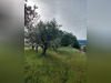 Ma-Cabane - Vente Terrain Peyruis, 2038 m²