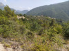 Ma-Cabane - Vente Terrain Pierrefeu, 1605 m²