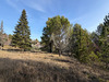 Ma-Cabane - Vente Terrain PIERREVERT, 1300 m²