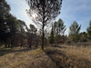 Ma-Cabane - Vente Terrain PIERREVERT, 1300 m²
