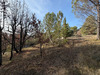 Ma-Cabane - Vente Terrain PIERREVERT, 1300 m²