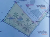 Ma-Cabane - Vente Terrain Pin-Balma, 1180 m²